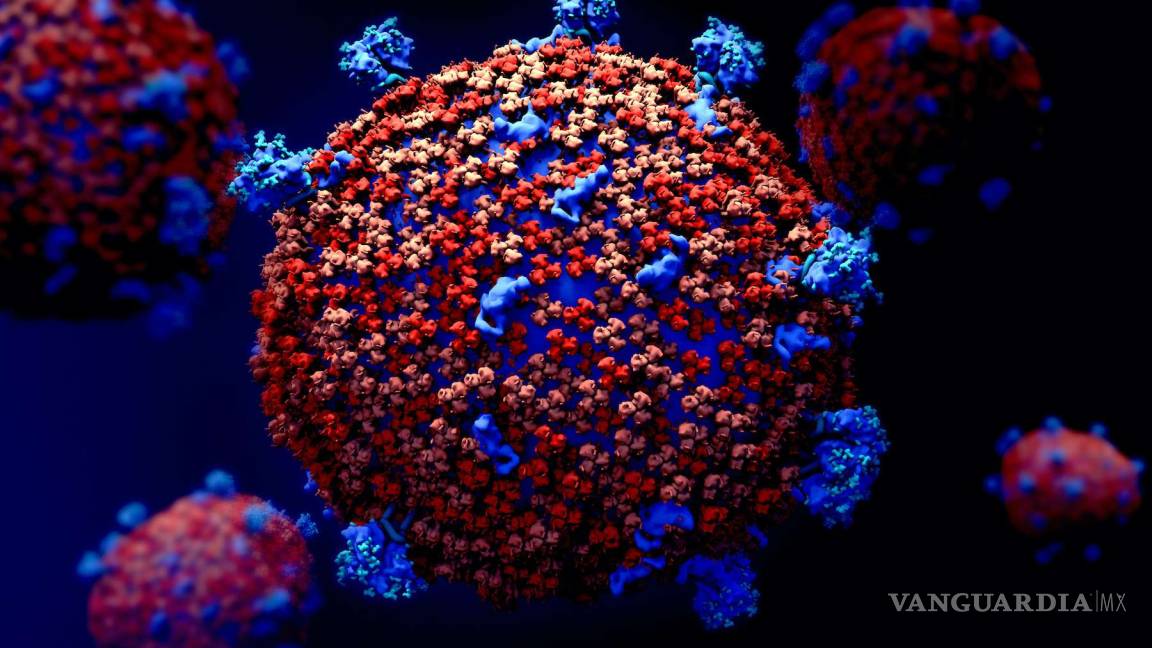 Coronavirus podría seguir ‘infectando’ la economía durante lo siguientes meses
