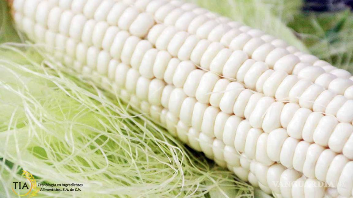 Producción de maíz blanco bajará aún más
