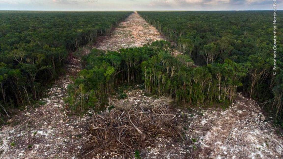 Mexicano gana premio por foto que muestra la devastación del Tren Maya