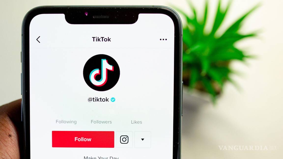 ¿Participaste en el ‘Trend de las fotos’ en TikTok? así podría afectarte