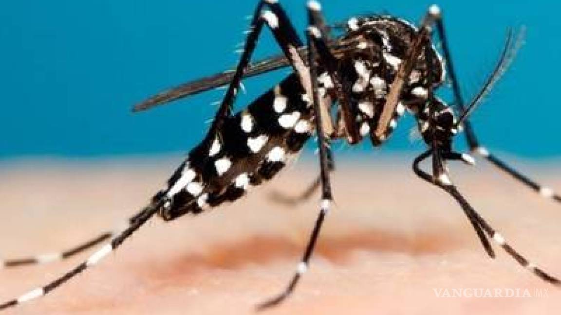 Registran más de 900 casos de dengue en San Luis Potosí