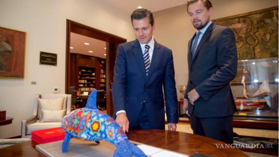 Semarnat aplaude a DiCaprio por lucha de salvar a vaquita marina