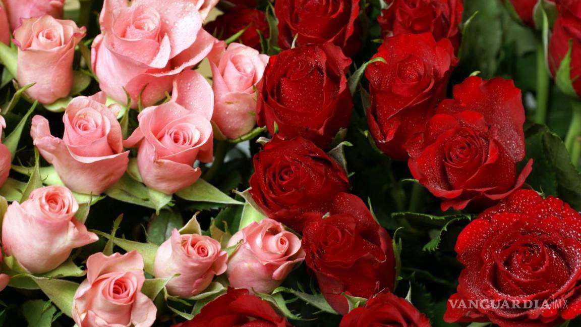 Estiman derrama de 365 mdp por venta de flores en Día del Amor