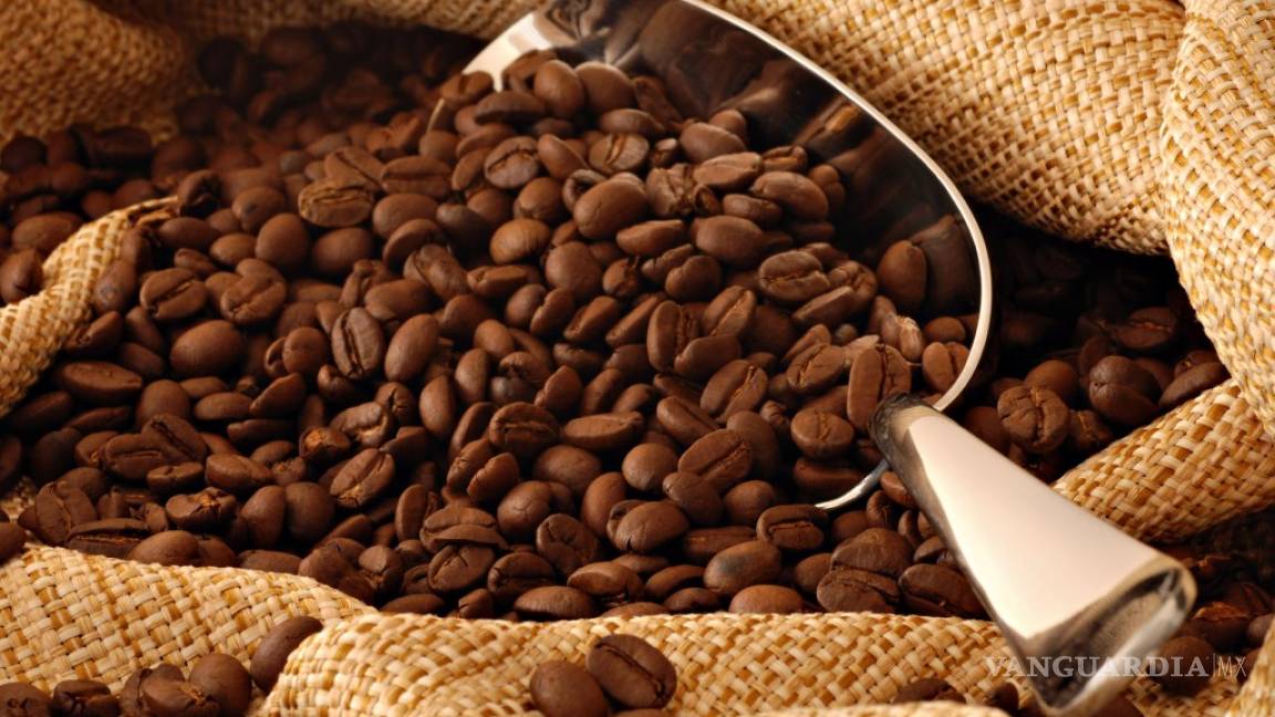 México, principal productor de cafés orgánicos en el mundo