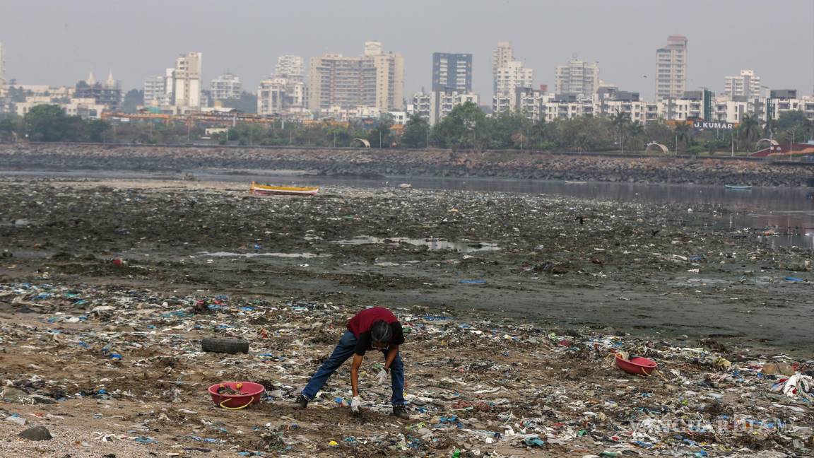 $!Un voluntario recoge desechos plásticos durante una campaña de limpieza de playas con motivo del Día de la Tierra 2022, en la playa de Mahim, India.