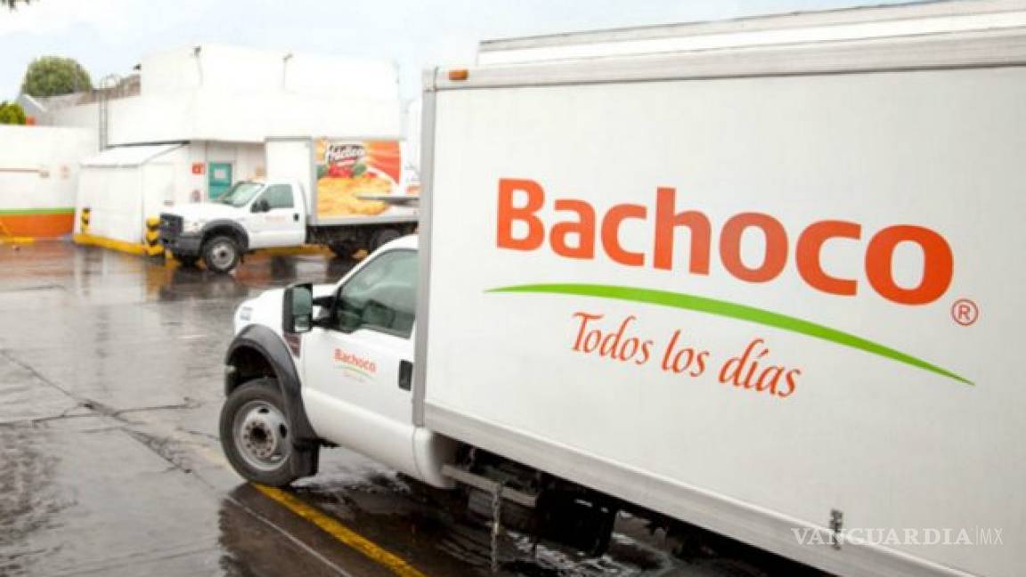 Bachoco espera una mejora en el consumo en 2020; utilidades sufrieron caída de 77.4% en 4T de 2019