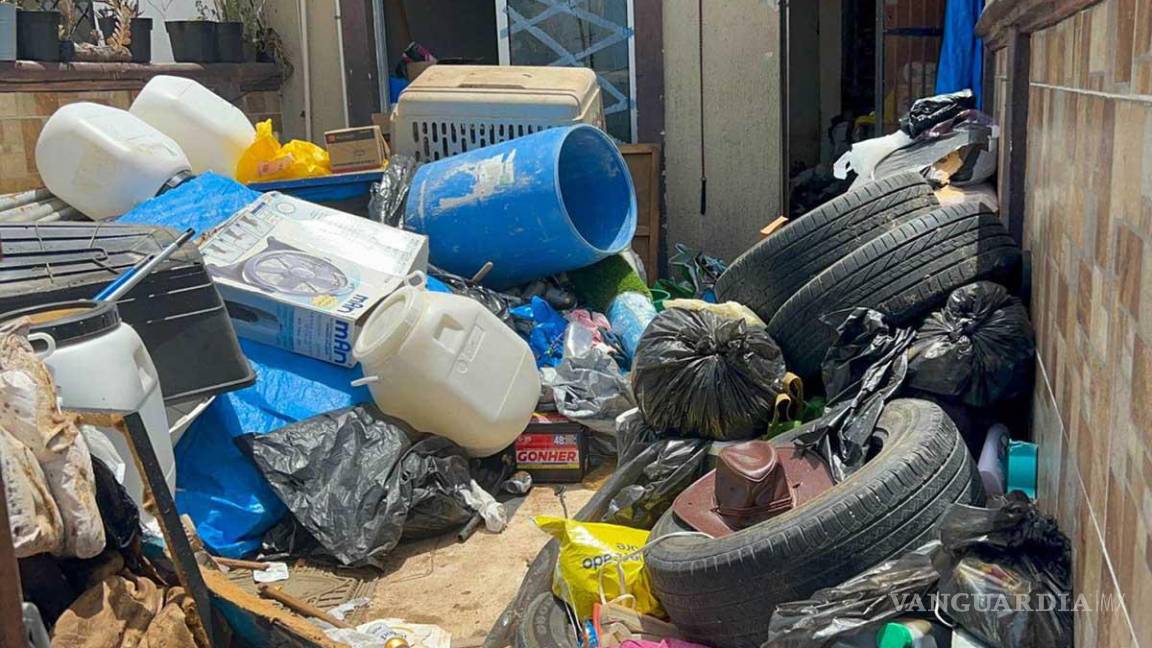 $!Encontraron 30 perros muertos en un ‘refugio’ de Cancún