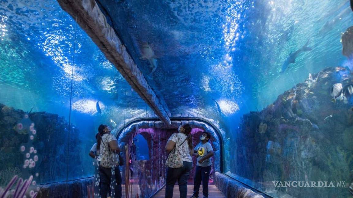 $!Asfixia por sumersión fue como se determinó la causa de muerte de Montserrat.