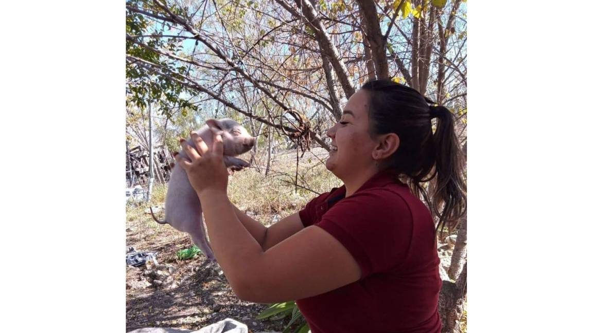 $!El nombre de este singular cerdito es Bruno, pero su familia le llama “Brunis” de cariño.