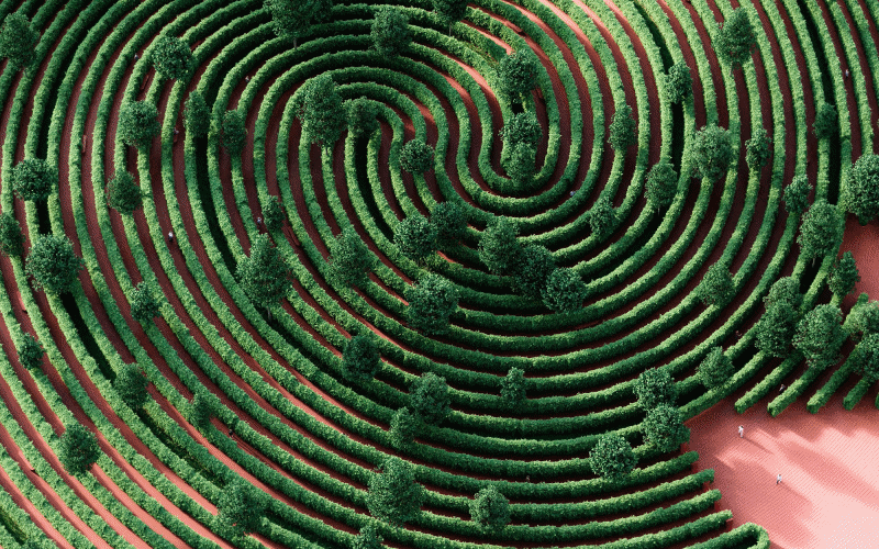 $!“Park de la Distance”, un parque de la nueva normalidad a prueba de contagios de COVID-19