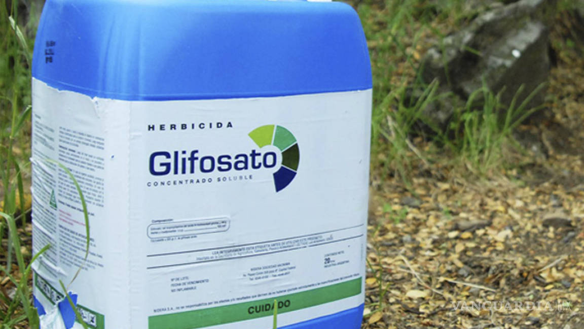 Agrupaciones campesinas no quieren glifosato, herbicida propuesto por Gobierno