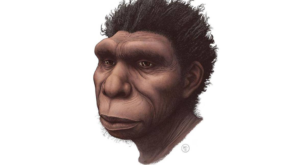 Revelan una posible nueva especie humana, el Homo juluensis