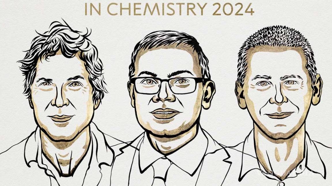 Premio Nobel de Química 2024 es otorgado a David Baker, Demis Hassabis y John M. Jumper por ‘descifrar el código de las sorprendentes estructuras de las proteínas con IA’