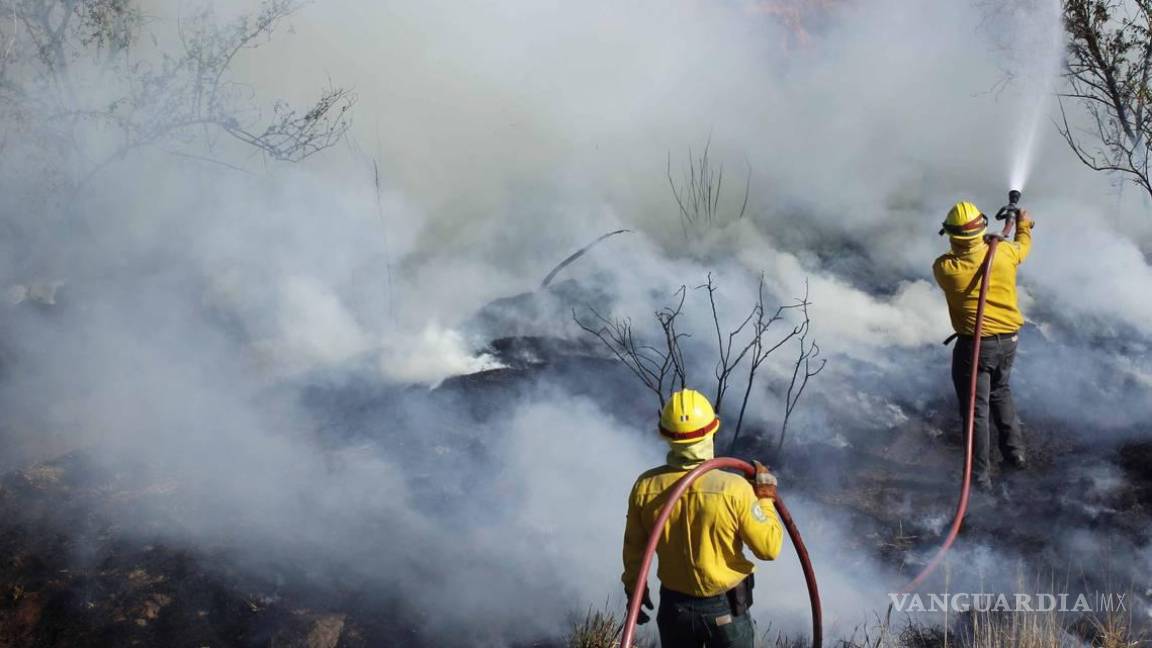 Hay 84 incendios forestales activos en el país: Conafor