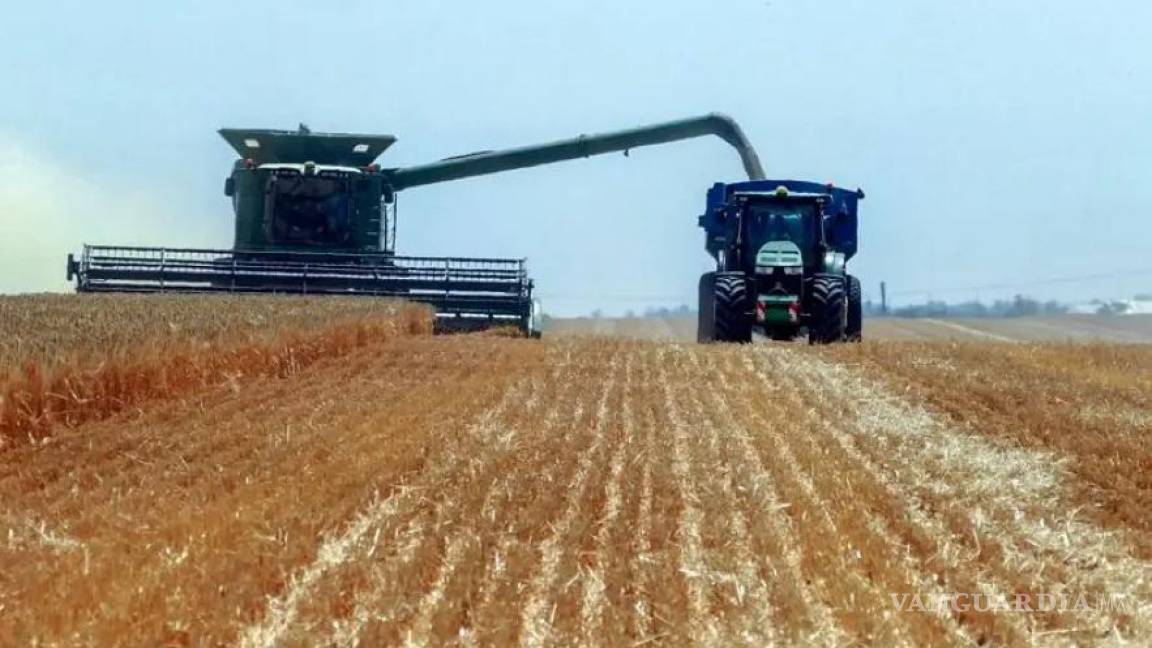 Unión Europea castiga los granos de Rusia y Bielorrusia, aumenta 50% aranceles