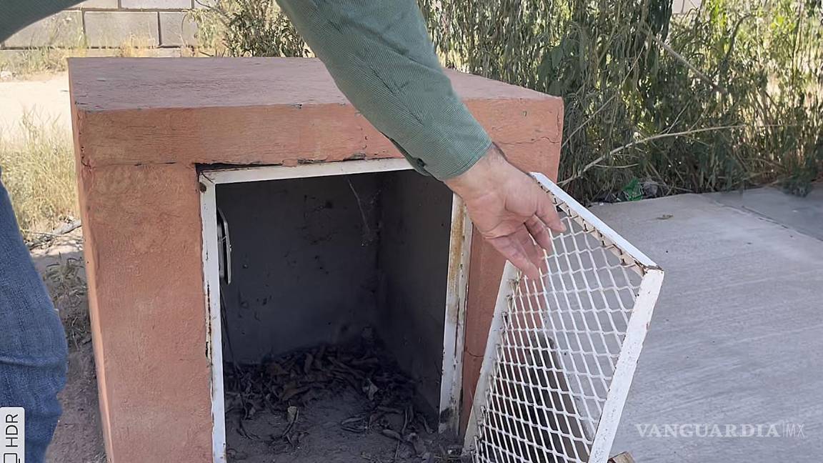 $!Regreso a clases 2021: una decisión apresurada