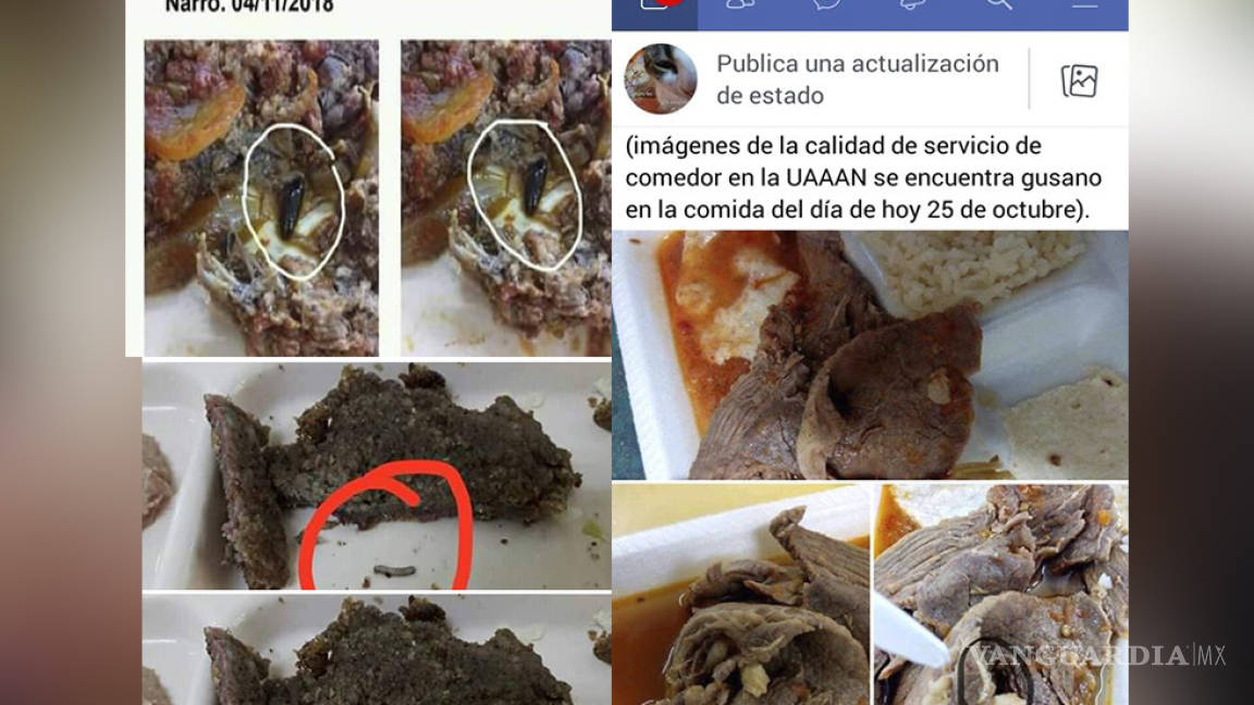 Denuncian estudiantes que en comedor de la Narro Saltillo sirven comida con gusanos y cucarachas