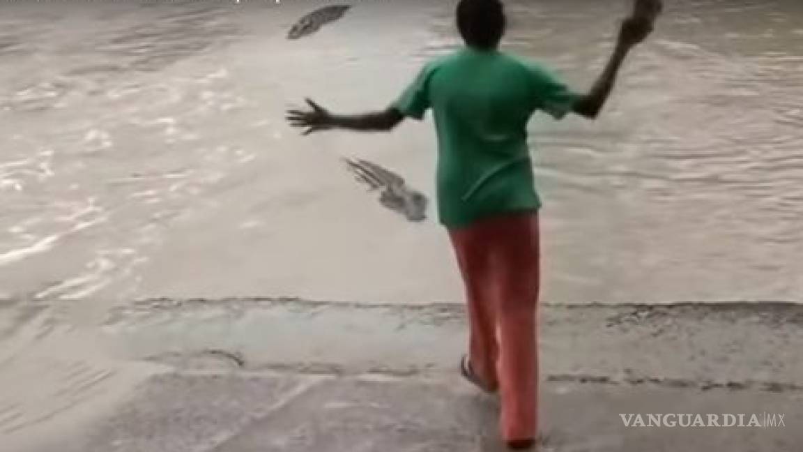 Viral: Mujer espanta a cocodrilo con la chancla