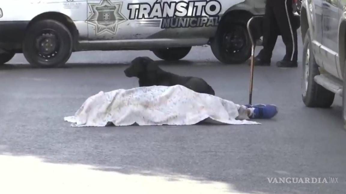 Abuelito muere atropellado en Durango, su perrito estuvo a su lado en todo momento