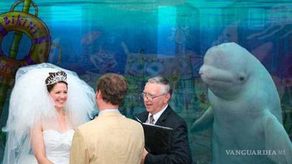 $!Ballena se aparece en boda y opaca a la novia