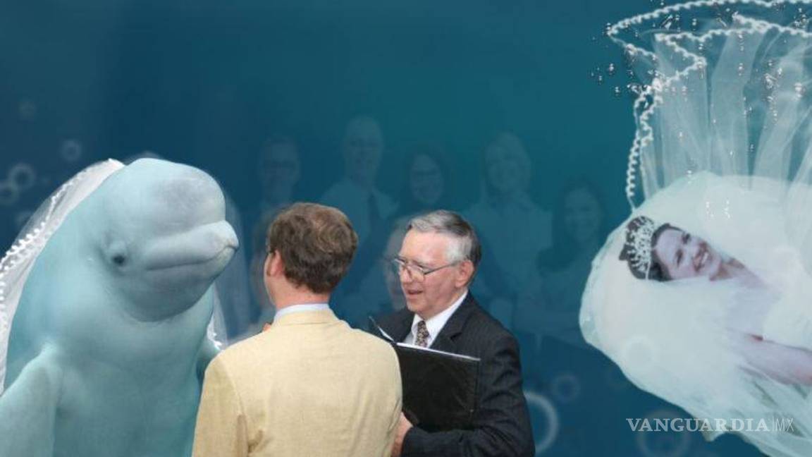 $!Ballena se aparece en boda y opaca a la novia