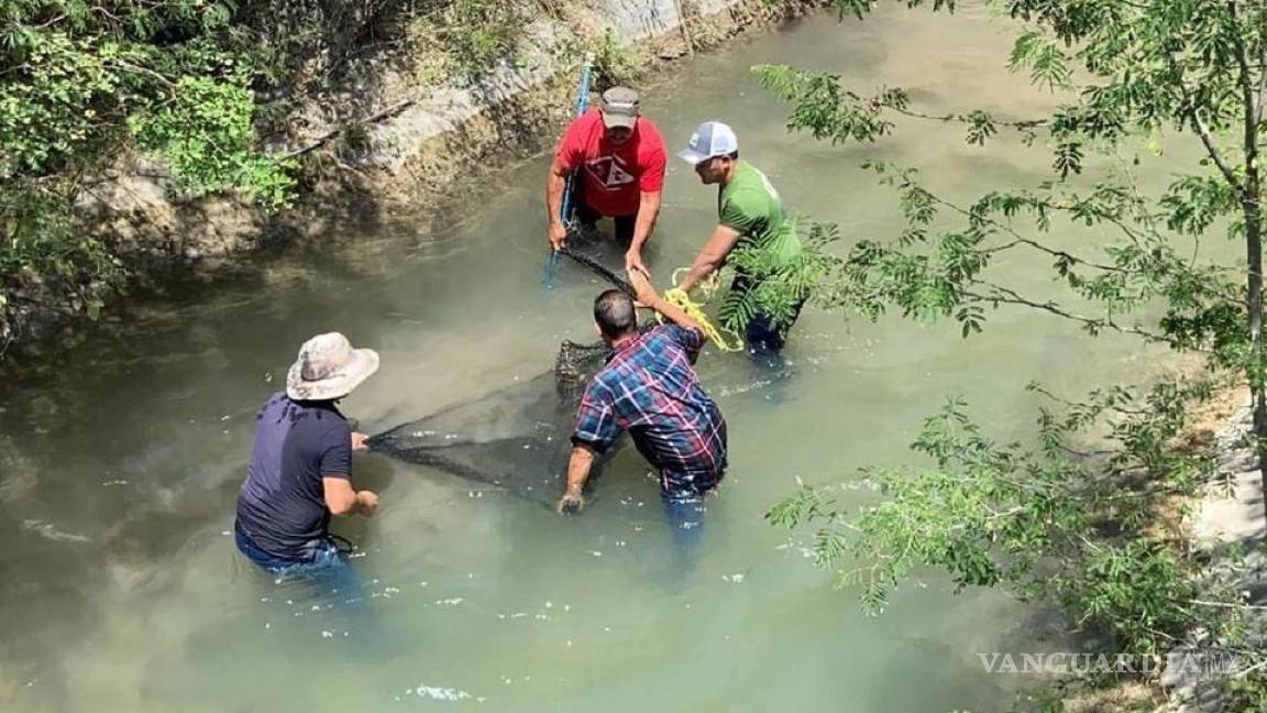 Capturan a cocodrilo en río de Montemorelos, Nuevo León
