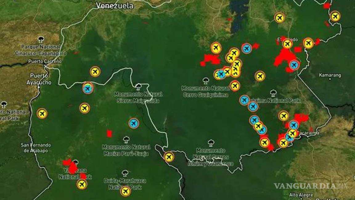 $!Minería ilegal en Venezuela causa deforestación equivalente a 40 mil campos de fútbol