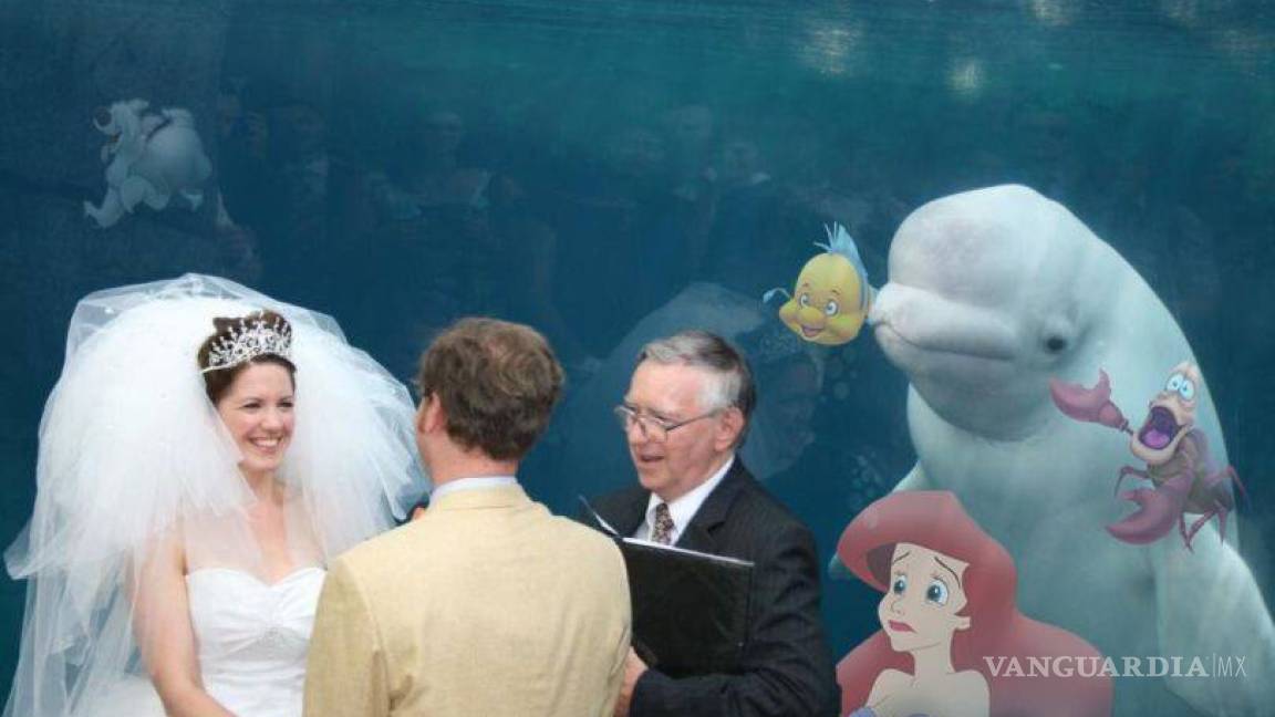 $!Ballena se aparece en boda y opaca a la novia