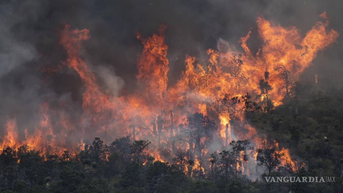 $!Arteaga, Coahuila 20 de mayo de 2022. Incendio forestal,en la Sierra de Arteaga, en la Carbonera. EFE/Miguel Sierra