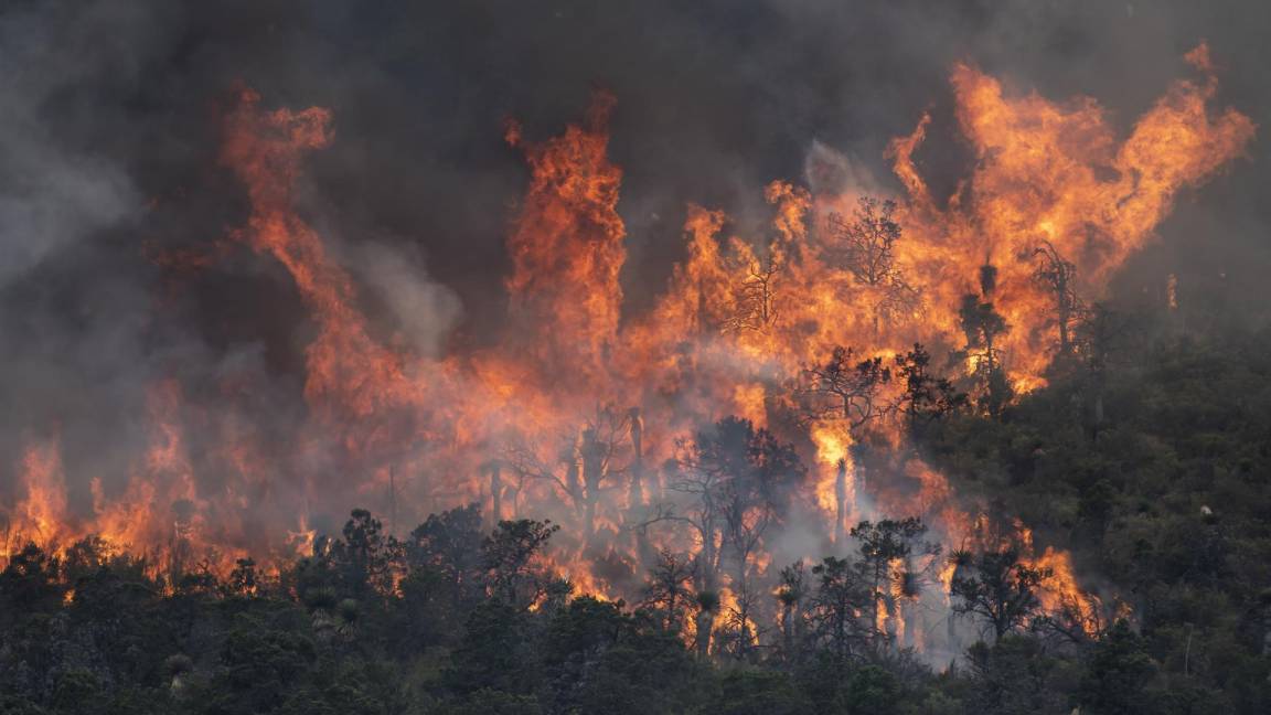 $!Arteaga, Coahuila 20 de mayo de 2022. Incendio forestal,en la Sierra de Arteaga, en la Carbonera. EFE/Miguel Sierra