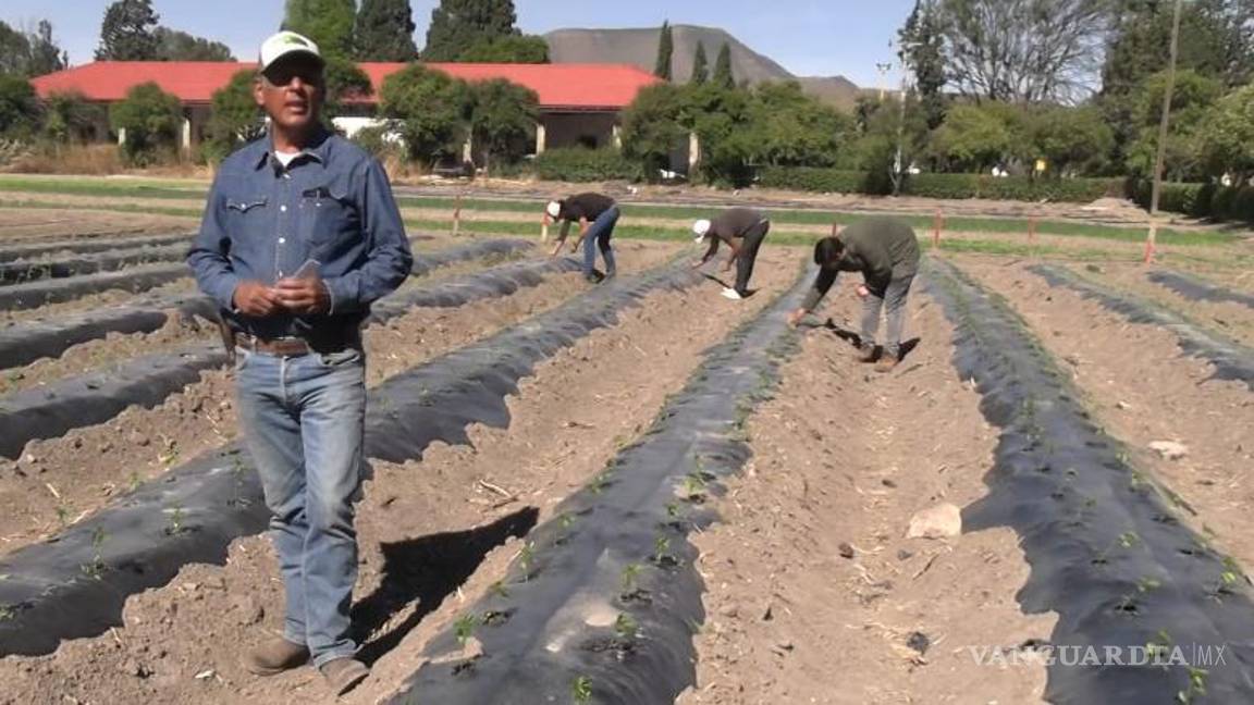 Saltillo: Proyecto de huerta educativa en la UAAAN cumple seis años de sembrar conocimiento