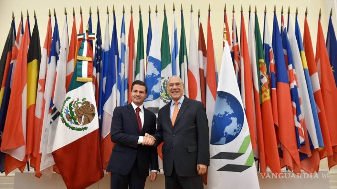Reconoce OCDE 'los frutos' de las reformas de Peña Nieto