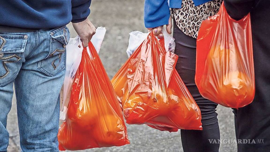 Multas por dar bolsas de plástico en CDMX empezarán el próximo año; serán de hasta $170 mil pesos