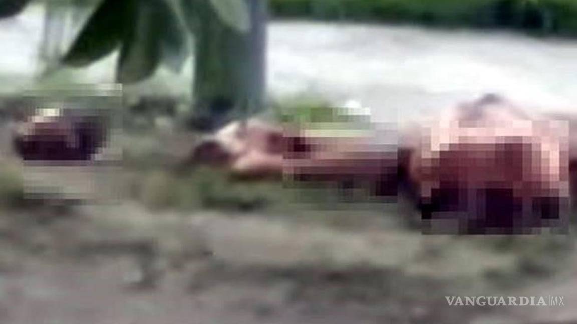 $!Los restos fueron ubicados sobre una acera de manera prominente