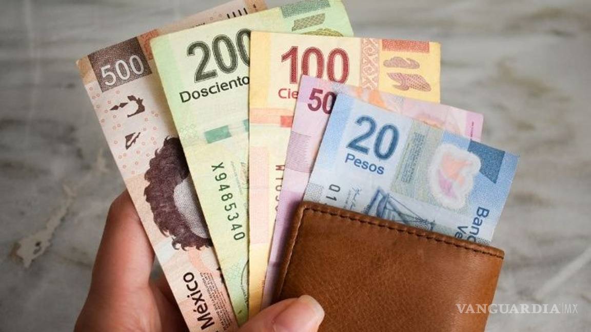 $!Morena propone que el salario mínimo sea establecido por estudios del Coneval