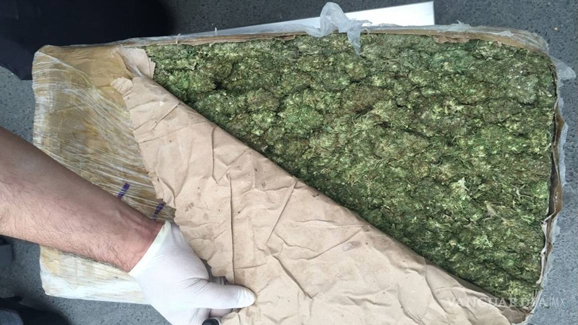 $!Decomisan dos toneladas de mariguana en Nuevo León