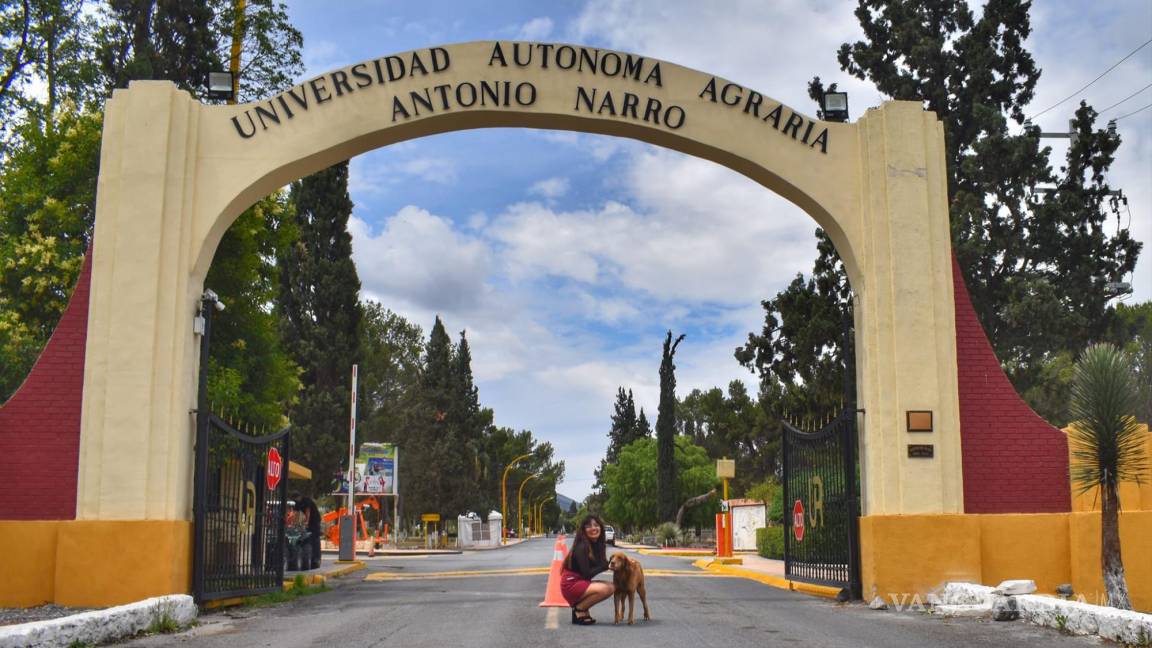 ‘Será temporal retiro de perritos que habitan en terrenos de la UAAAN’, asegura el rector Mario Vázquez