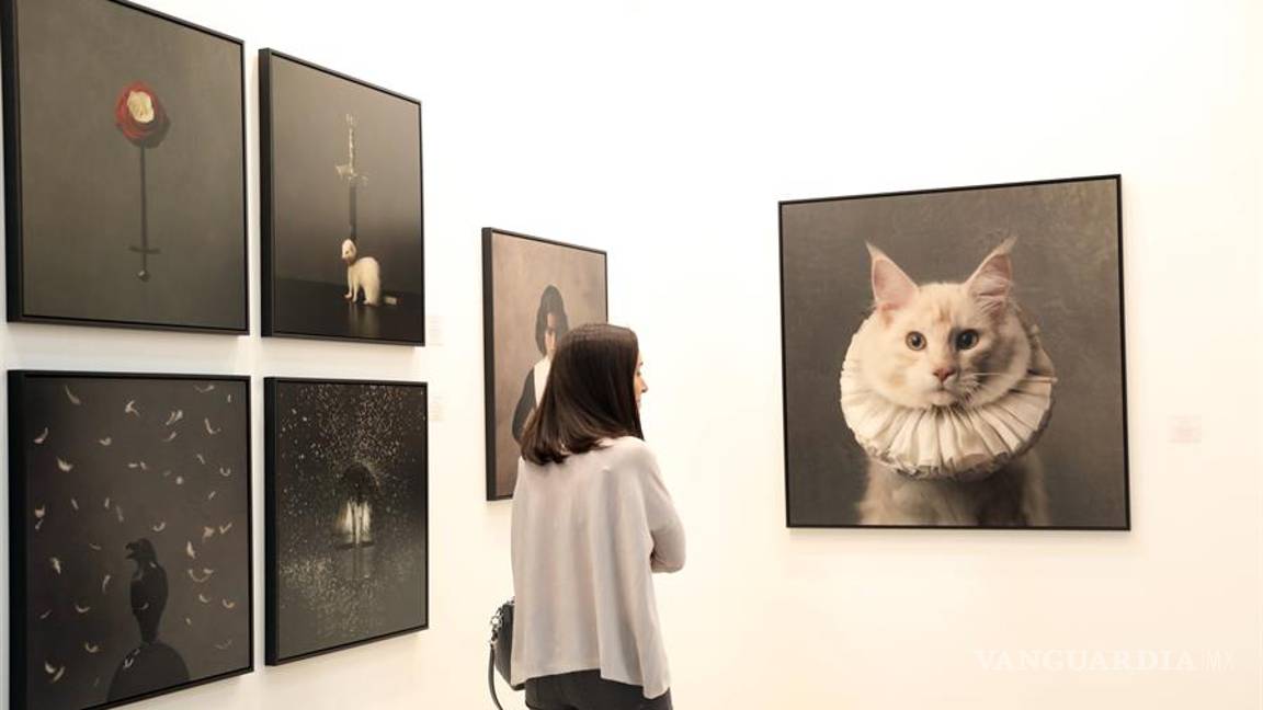 $!Feria Zona MACO, la más importante de Latinoamérica, inicia en México