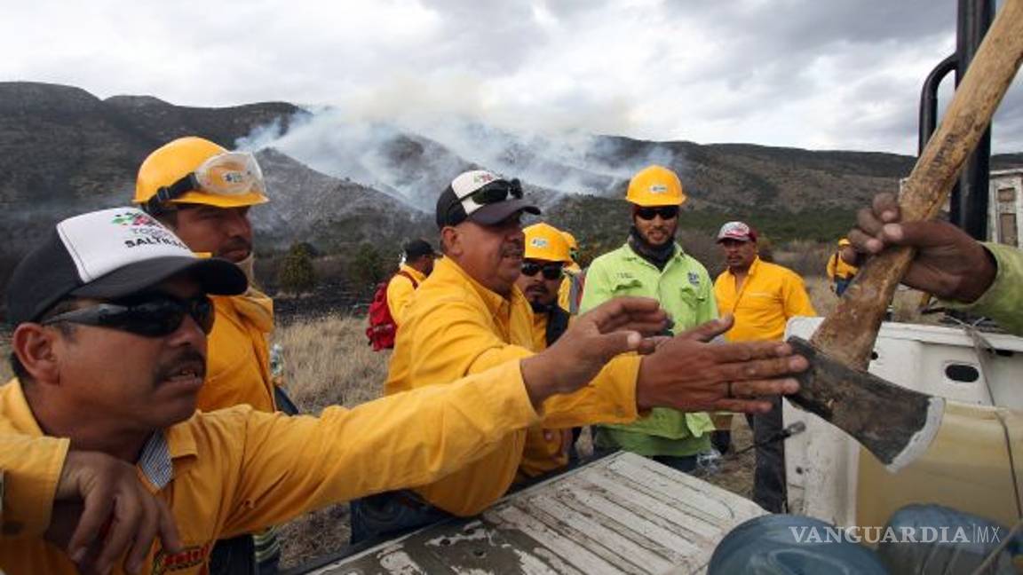 $!Devasta fuego 150 hectáreas de Sierra Zapalinamé en Coahuila; fue provocado: Medio Ambiente