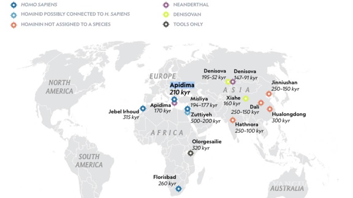 $!Dos cráneos cambian la historia de nuestra especie en Eurasia