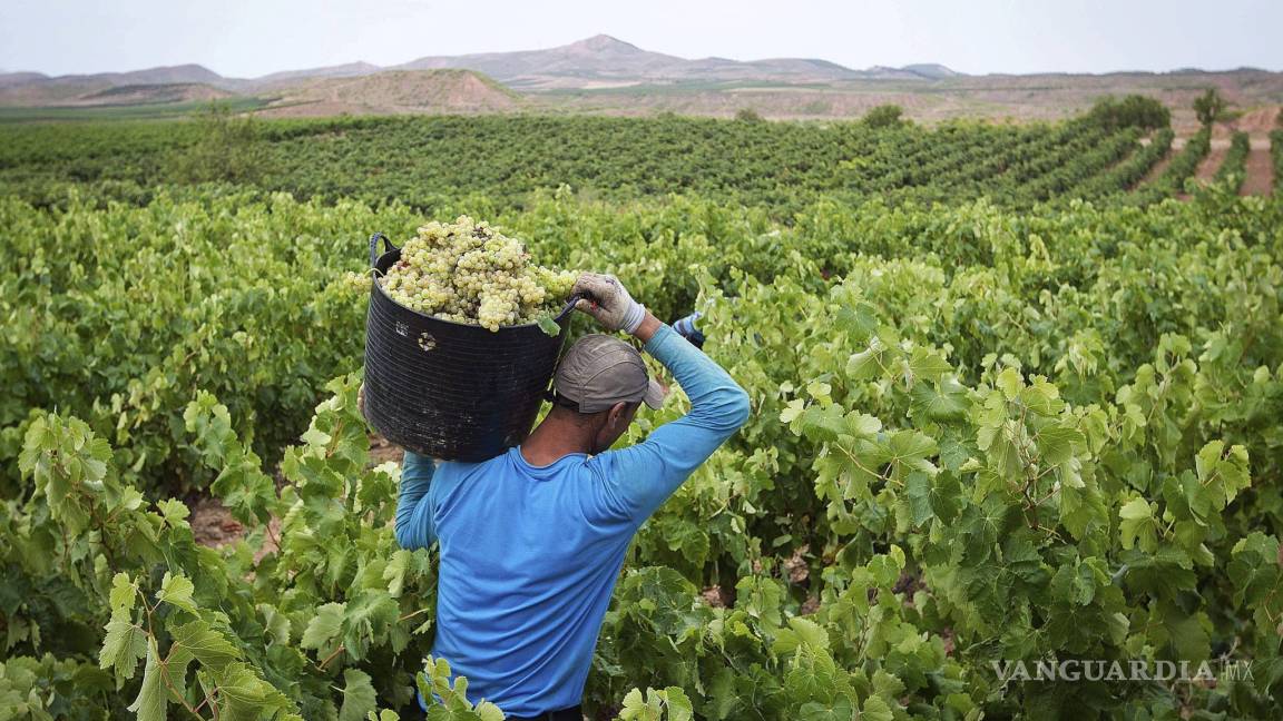 Rioja, calidad y filosofía en los vinos