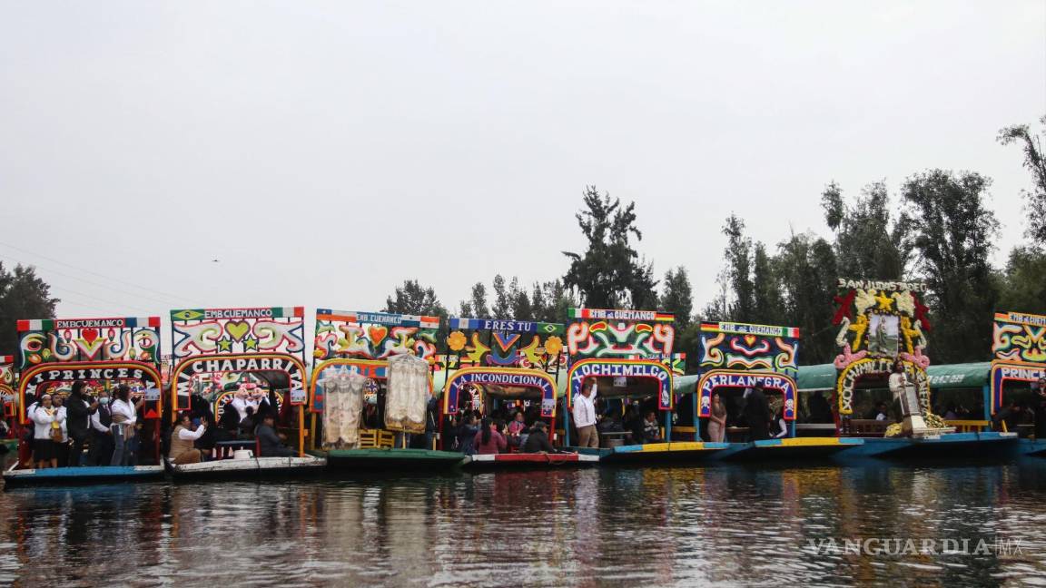 $!Ajolotes en peligro de extinción: UNAM alerta sobre la posible desaparición de esta especie en Xochimilco para 2025