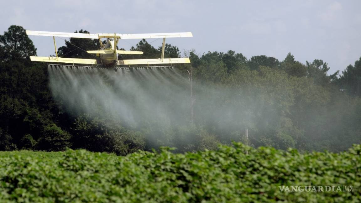 Presiona Dow Chemical al gobierno de Trump para frenar un reporte sobre pesticidas