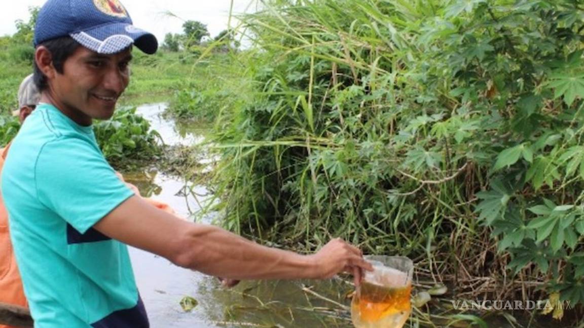 $!Pemex causa grave daño ambiental en Veracruz, derrame mata animales y obliga a evacuar