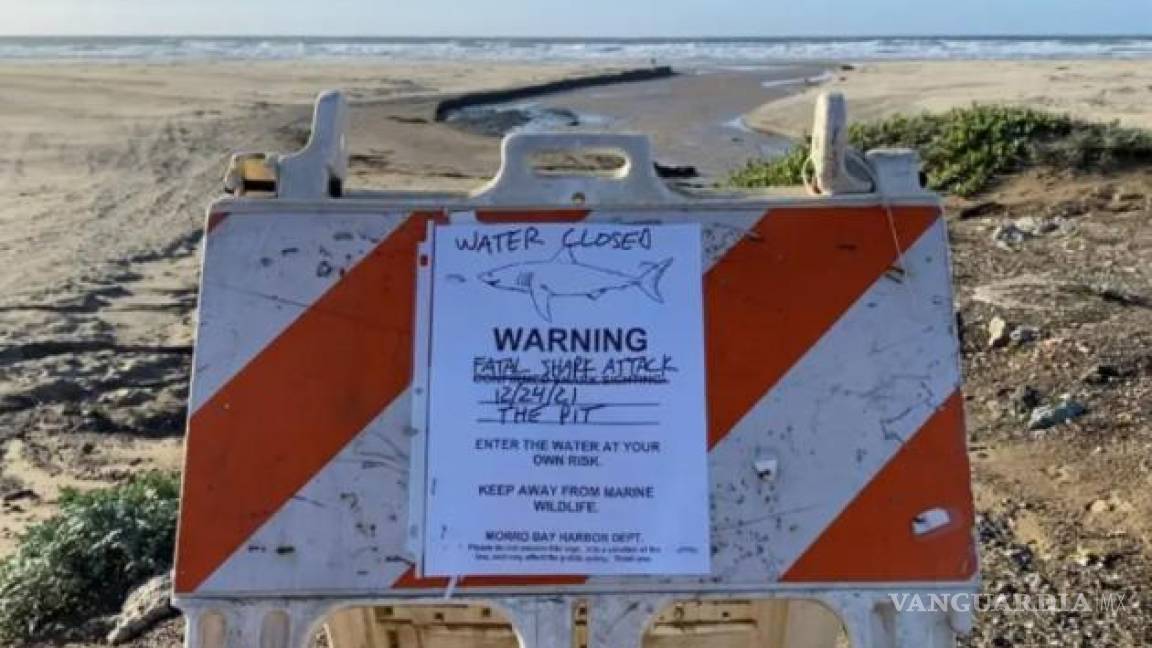 Muere surfista por ataque de tiburón en una playa de California