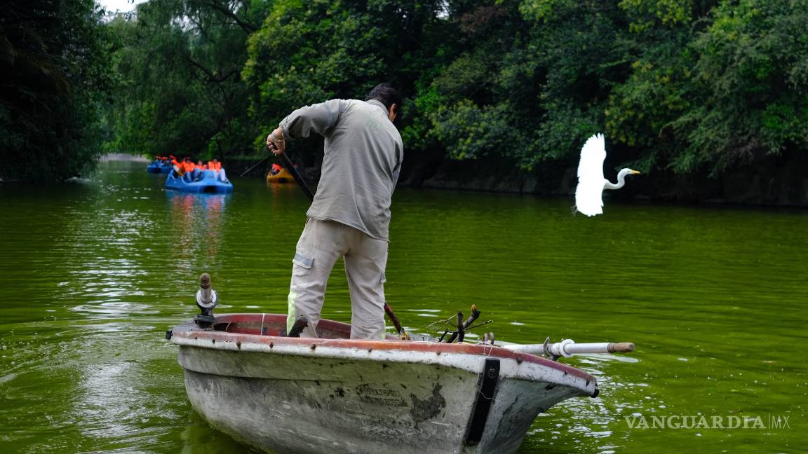$!Bosque de Chapultepec es el mejor parque urbano del mundo