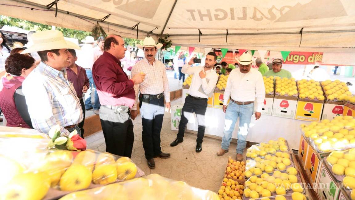 Esperan una buena cosecha de manzana