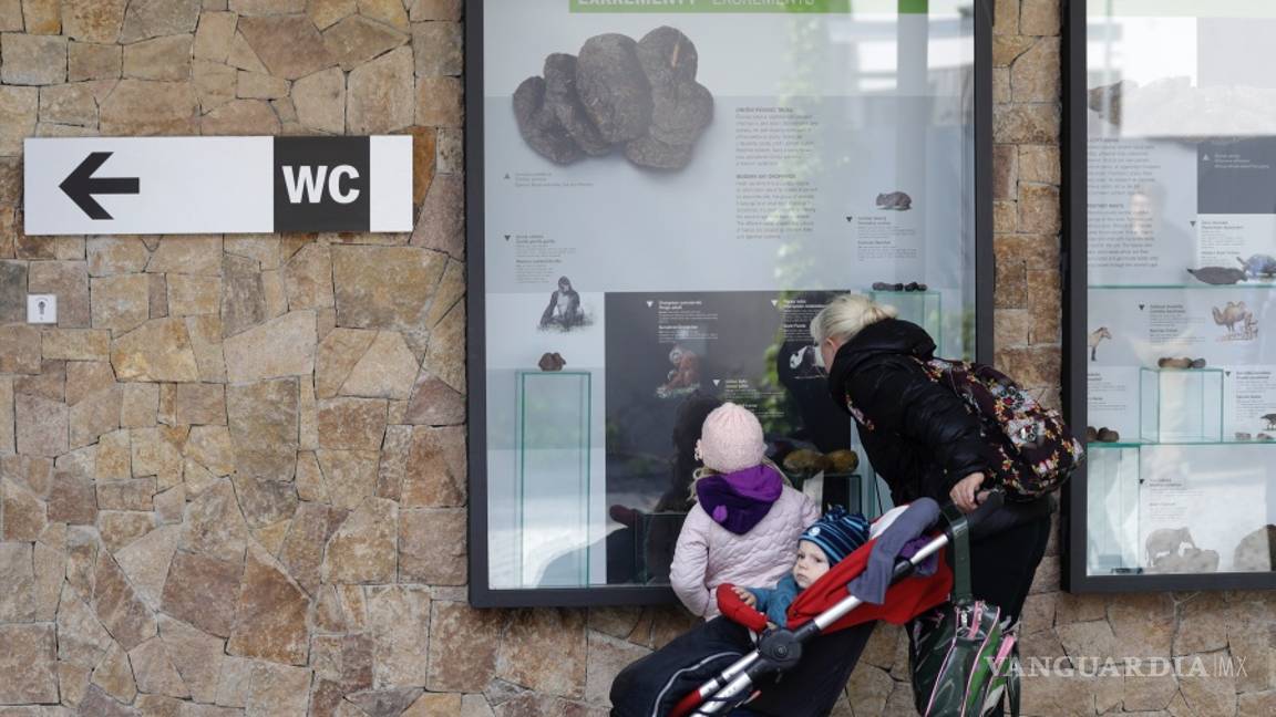 $!Un zoológico en Praga inaugura una exposición sobre el excremento animal