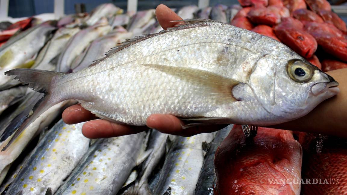 Pescadores de la presa La Amistad estiman 60 toneladas de producto