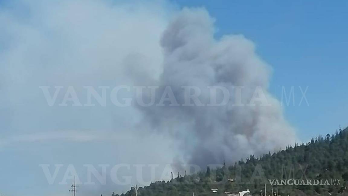 Alarma incendio forestal en el ejido Los Lirios de Arteaga